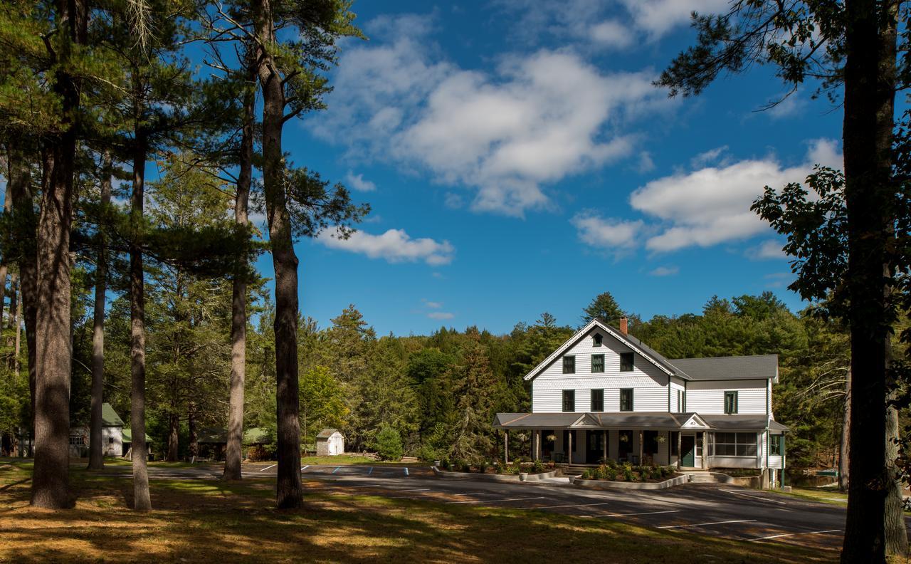 The Cottage In The Pines Cahoonzie Dış mekan fotoğraf